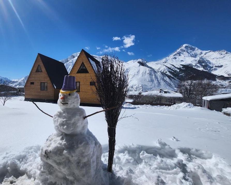فيلا Via Kazbegi المظهر الخارجي الصورة